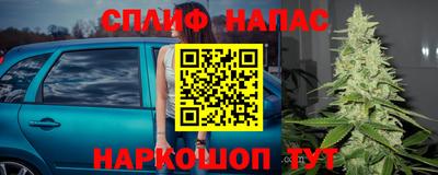 хмурый Канаш