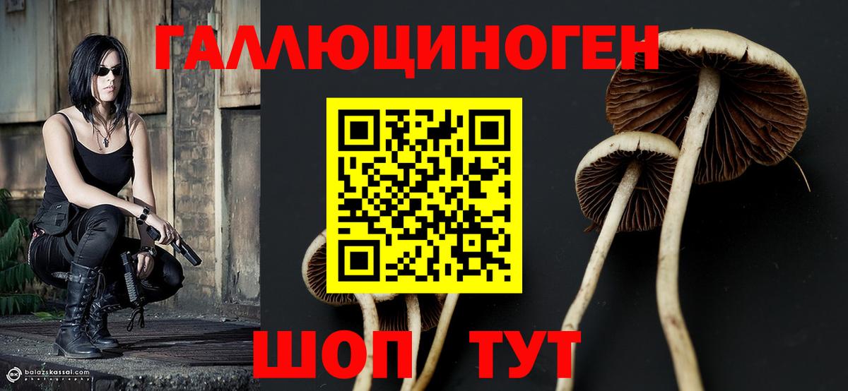 Галлюциногенные грибы MAGIC MUSHROOMS Касимов